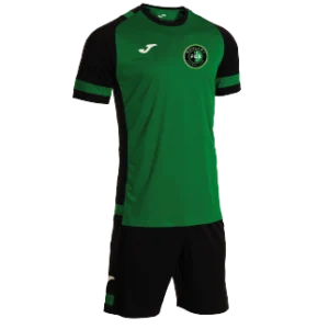 Ensemble Set Lider